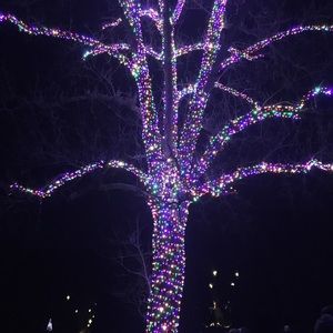 Meet your Posher, Kara